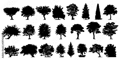 set of trees © Dian