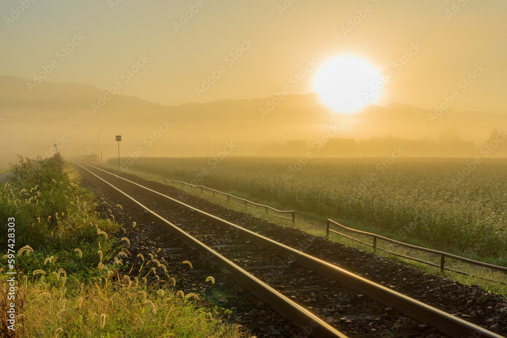 朝霧立ち込める越前田野から伸びる線路を朝陽が際立たせる