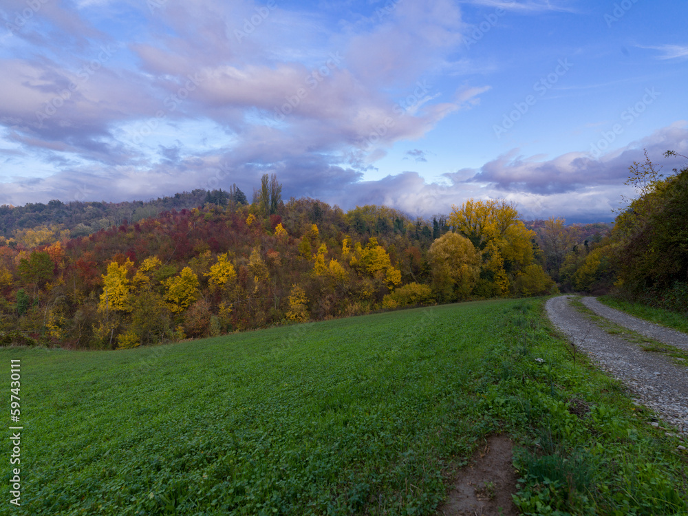 Dirty road in the countryside with autumn colors in italy Dirty road in the countryside with autumn colors in italy