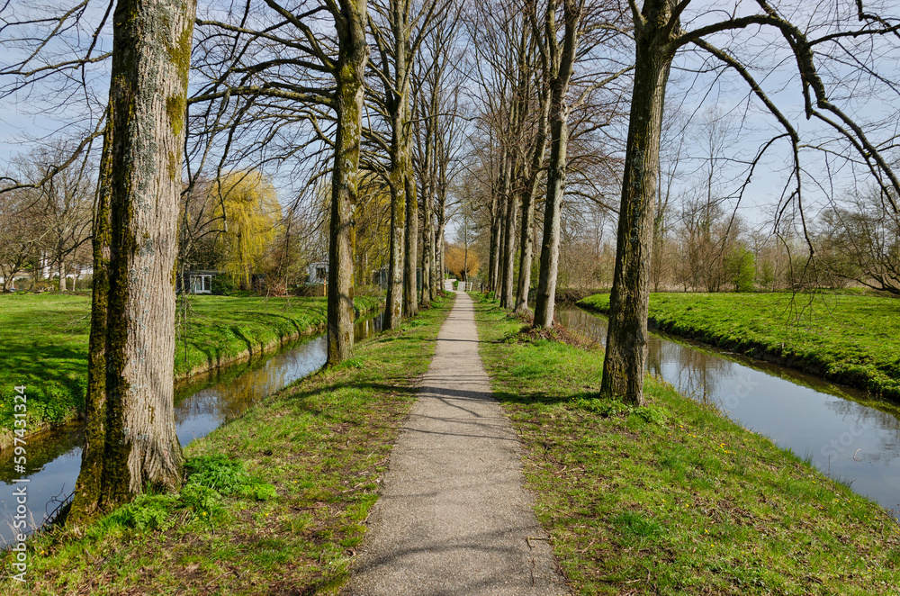 Straight gravel footpath with on aboth sides a row of trees, a ditch and a meadow, near Rhoon, The Netherlands