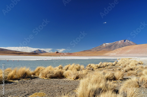 Fototapeta Naklejka Na Ścianę i Meble -  Lake at Atiplano, Bolivia