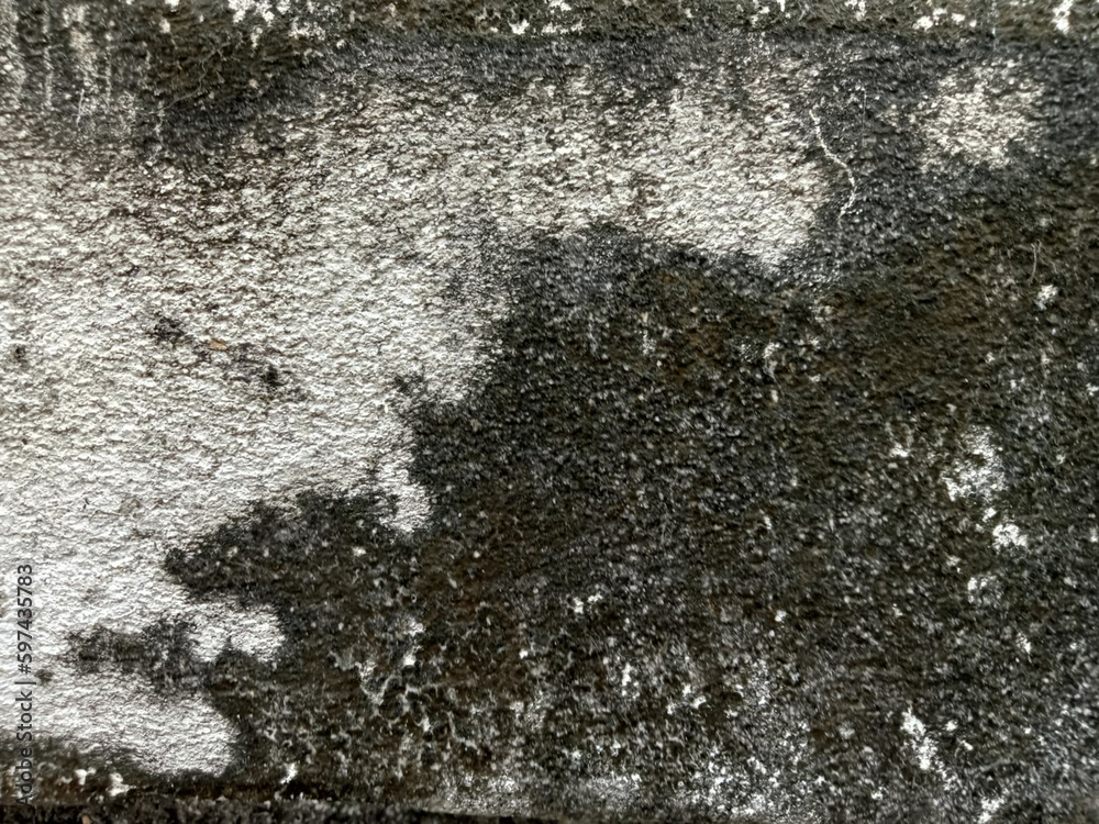 Obraz premium The texture of the old plaster wall with a very unusual beautiful pattern.