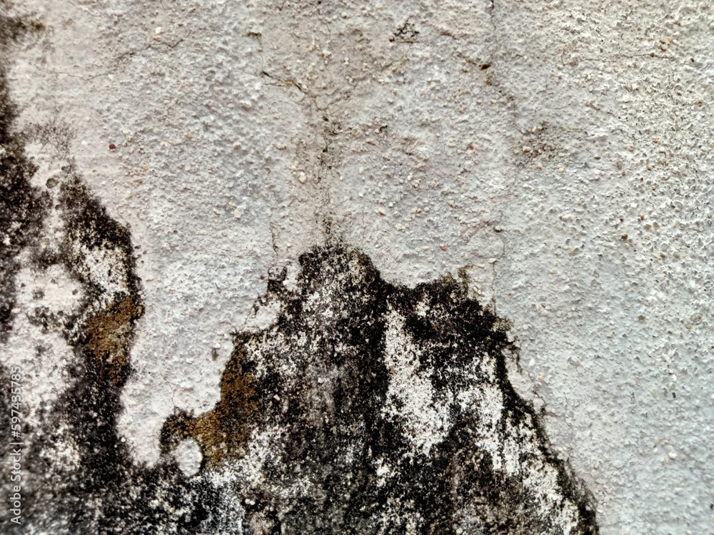 Naklejka premium The texture of the old plaster wall with a very unusual beautiful pattern.