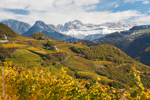 Vineyards near Bolzano, Trentino-Alto Adige/Suedtirol, Italy