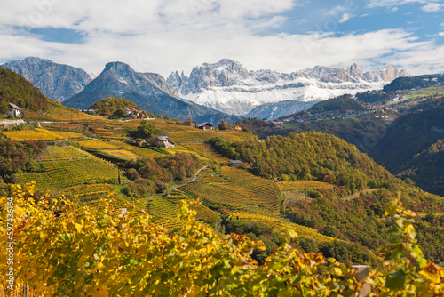 Vineyards near Bolzano, Trentino-Alto Adige/Suedtirol, Italy photo