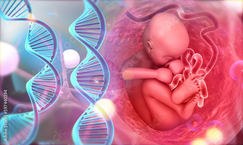 Fotografia Human fetus with DNA strand. Medical concept. 3d illustration..