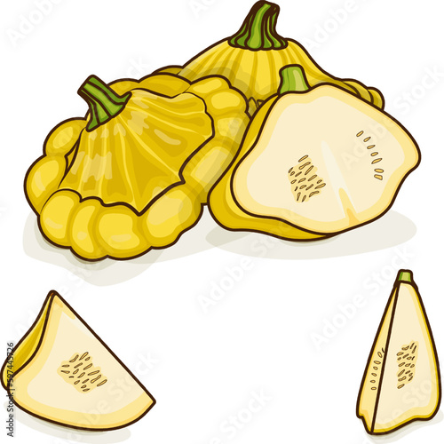 Whole, half, quarter of Yellow Patty Pan squash or Scallop or Scallopini squash. Summer squash. Cucurbita pepo. Fruits and vegetables. Cartoon style. Vector illustration isolated on white background.