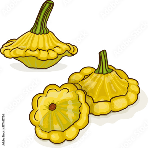 Group of Yellow Patty Pan squash or Scallop or Scallopini squash. Summer squash. Cucurbita pepo. Fruits and vegetables. Cartoon style. Vector illustration isolated on white background.
