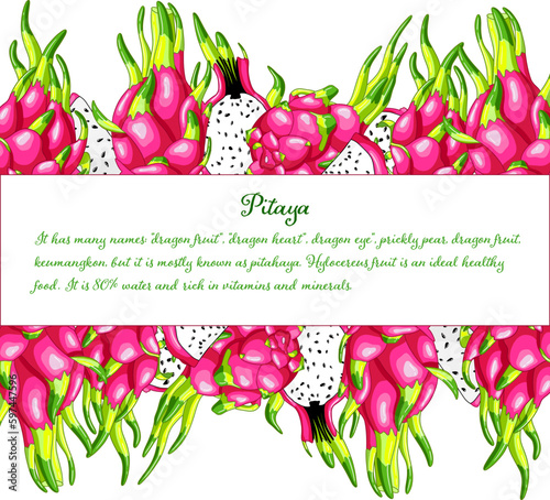Tasty dragon fruit frame. Organic pitaya design element. Exotic pink pitahaya vector illustration. Delicious cactus pieces of vitamins