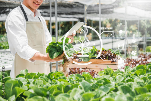 Happiness Asian Man gardener Working with Smart farming Agricultural IOT technology freshness vegetable hydroponic greenhouse in hydroponic farm