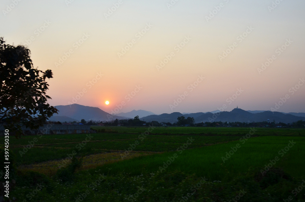View landscape farmland and paddy rice field in farm meadow of cityscape countryside rural and mountain hill for thai people travel visit in morning sunrise at Mae Khachan city in Chiang Rai, Thailand