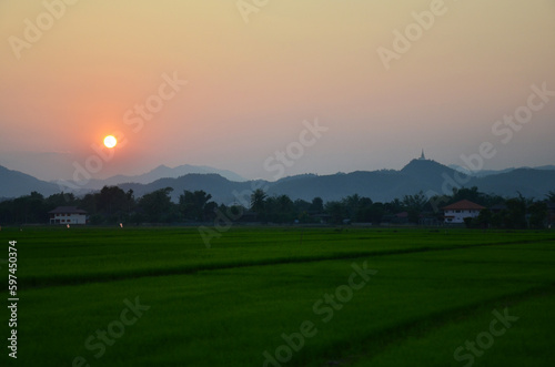 View landscape farmland and paddy rice field in farm meadow of cityscape countryside rural and mountain hill for thai people travel visit in morning sunrise at Mae Khachan city in Chiang Rai, Thailand