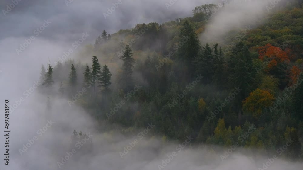 Morgennebel im Wald an der Saarschleife bei Mettlach, Saar, Saartal, Saarland, Deutschland
Morgennebel im Wald an der Saarschleife bei Mettlach, Saar, Saartal, Saarland, Deutschland