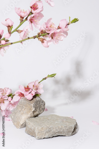 Podium or pedestal from nature stone decorated with cherry blossom twigs. Cosmetic mock up