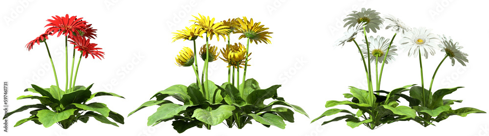 Obraz premium Ornamental flowers cutout on transparent backgrounds 3d rendering png