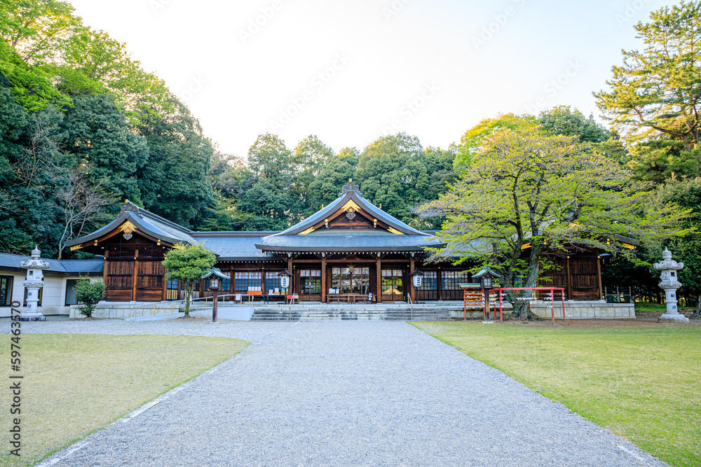 春の群馬縣護國神社 群馬県高崎市 Gunma Prefecture Gokoku Shrine in spring. Gunma Pref, Takasaki city. 春の群馬縣護國神社 群馬県高崎市 Gunma Prefecture Gokoku Shrine in spring. Gunma Pref, Takasaki city.