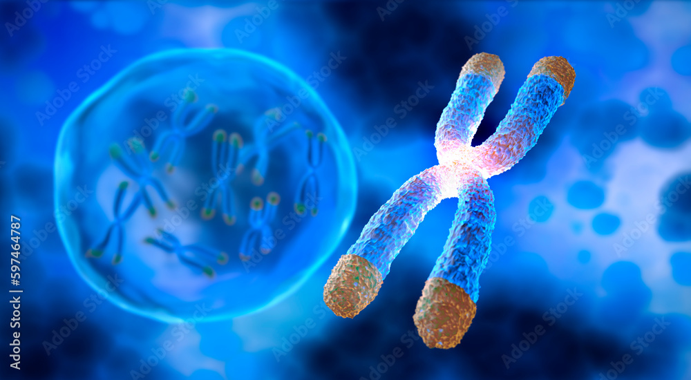 Chromosome with Telomere and bubble floating on blue background - science and anti aging technology - 3D illustration Chromosome with Telomere and bubble floating on blue background - science and anti aging technology - 3D illustration
