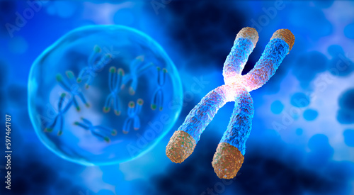 Chromosome with Telomere and bubble floating on blue background - science and anti aging technology - 3D illustration photo