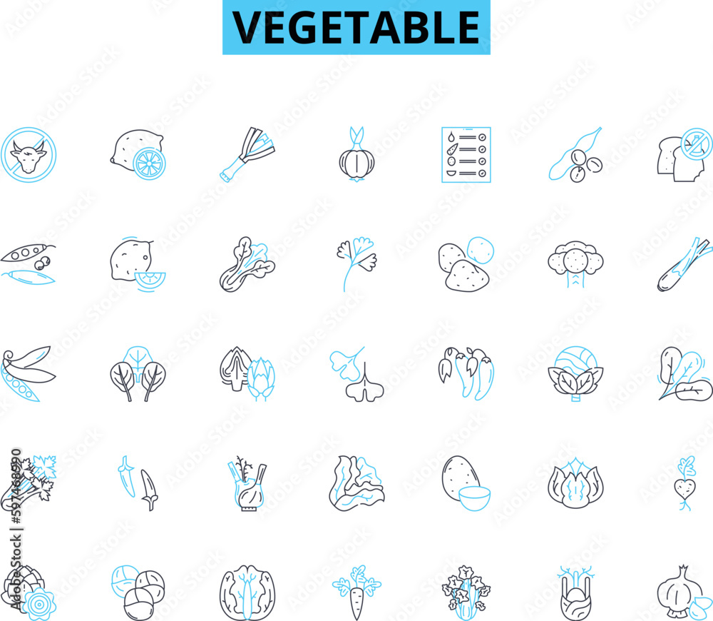 Vegetable linear icons set. Carrot, Broccoli, Cauliflower, Spinach, Beetroot, Onion, Cucumber line vector and concept signs. Mushroom,Bell pepper,Zucchini outline illustrations Vegetable linear icons set. Carrot, Broccoli, Cauliflower, Spinach, Beetroot, Onion, Cucumber line vector and concept signs. Mushroom,Bell pepper,Zucchini outline illustrations