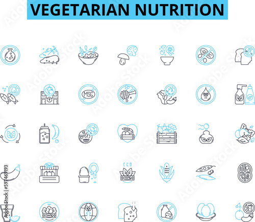vegetarian nutrition linear icons set. Vegetables, Protein, Fiber, Iron, Calcium, Vitamin B, Omega- line vector and concept signs. Soy,Legumes,Nuts outline illustrations