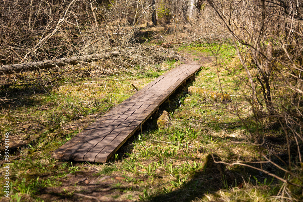 Wooden boardwalk on the walking paths in spring Wooden boardwalk on the walking paths in spring