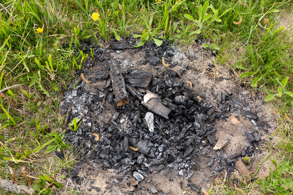 the flames of fire in the forest. camping the flames of fire in the forest. camping