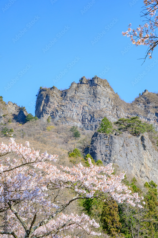 春の妙義山と桜 群馬県甘楽郡 Mt. Myogi and cherry blossoms in spring. Gunma Pref, Kanra gun. 春の妙義山と桜 群馬県甘楽郡 Mt. Myogi and cherry blossoms in spring. Gunma Pref, Kanra gun.