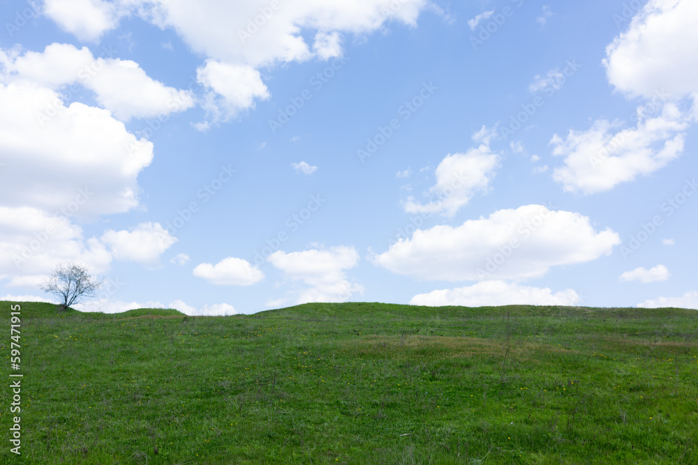 green field and blue sky with light clouds