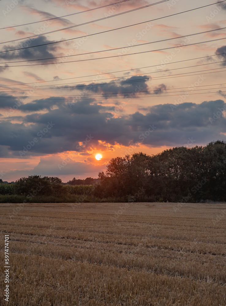Sunset over a field of wheat in the countryside of Emilia Romagna