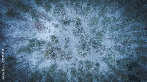 Top down view of the snowy pine forest. 