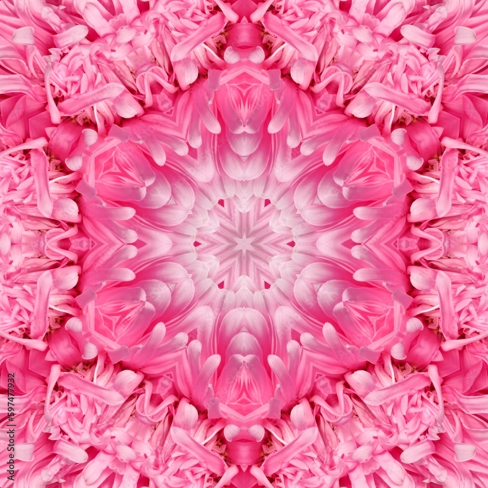 Decorative panel of pink chrysanthemum flower