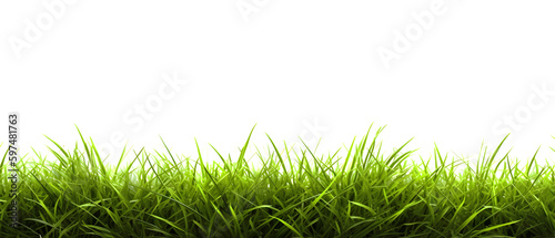 Fresh Spring Green Grass on White Background. created with Generative AI