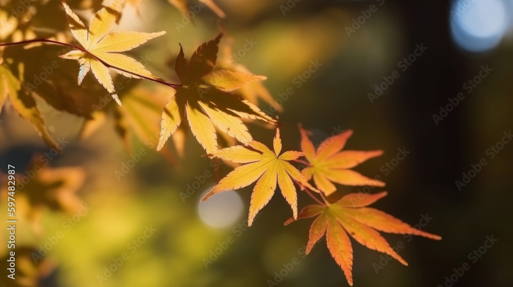 Autumn Leaves Background Illustration AI Generative. Autumn Leaves Background Illustration AI Generative.