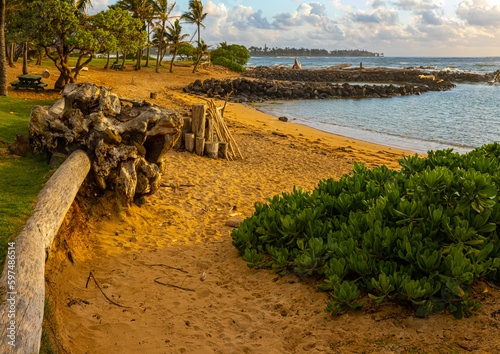 Driftwood on The Sandy Shores of Lydgate Beach on Lydgate Beach at Lydgate Beach Park, Lihue, Kauai, Hawaii, USA photo