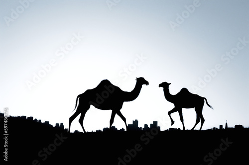 Camel trekking in the desert sand dunes
