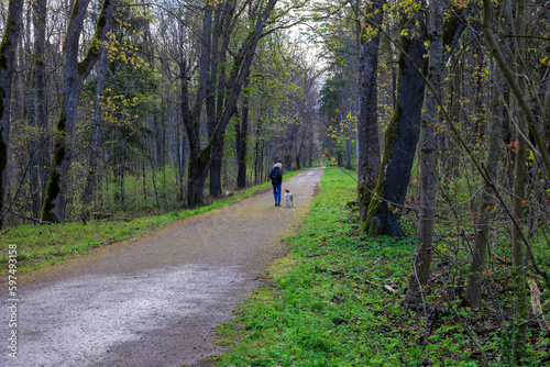 Woman walker with dog on a forest path in the woods