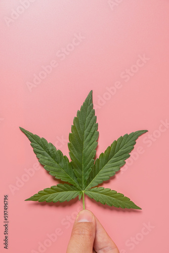 Weed, cannabis, hemp, marijuana leaf on colorful background.