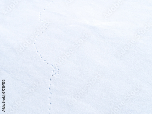 snow covered background