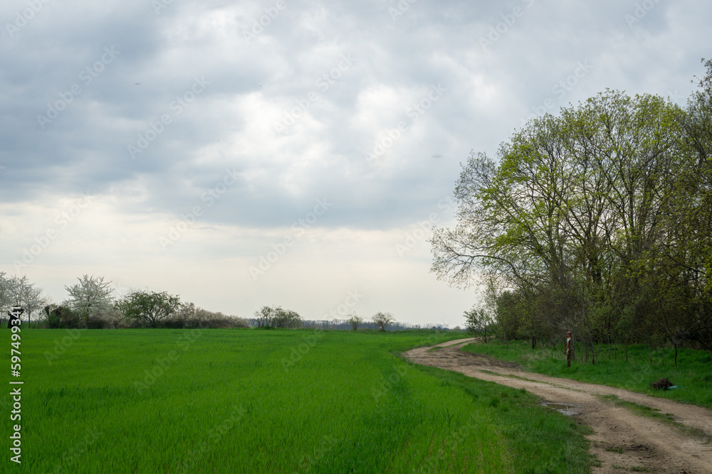 Hiking in Germany during spring, in green, lush forest and fields Hiking in Germany during spring, in green, lush forest and fields