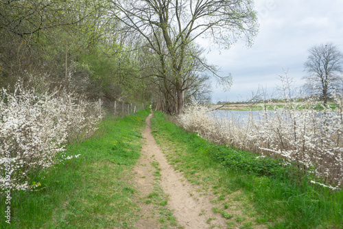 Hiking in Germany during spring  in green  lush forest and fields