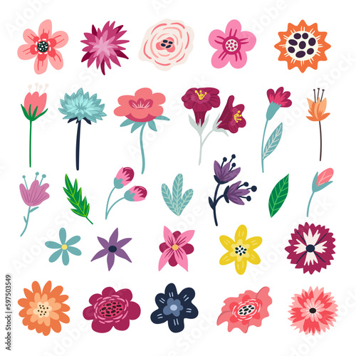 Set of hand-drawn flowers and leaves. Exotic plants in trendy style