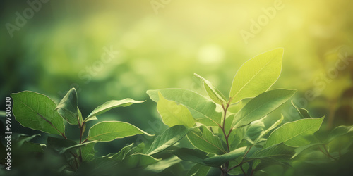 Nature of green leaf in garden at summer. Natural green leaves plants using as background cover page environment ecology or greenery wallpaper. Generative AI