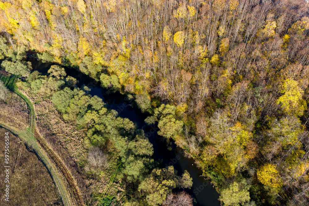 Autumn forest on the bank of a small river, aerial view. Nara River, Russia Autumn forest on the bank of a small river, aerial view. Nara River, Russia