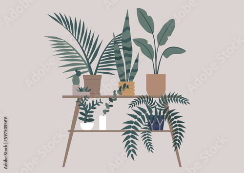 A home garden with beautiful plants, hipster lifestyle, a wooden shelf with pots on it