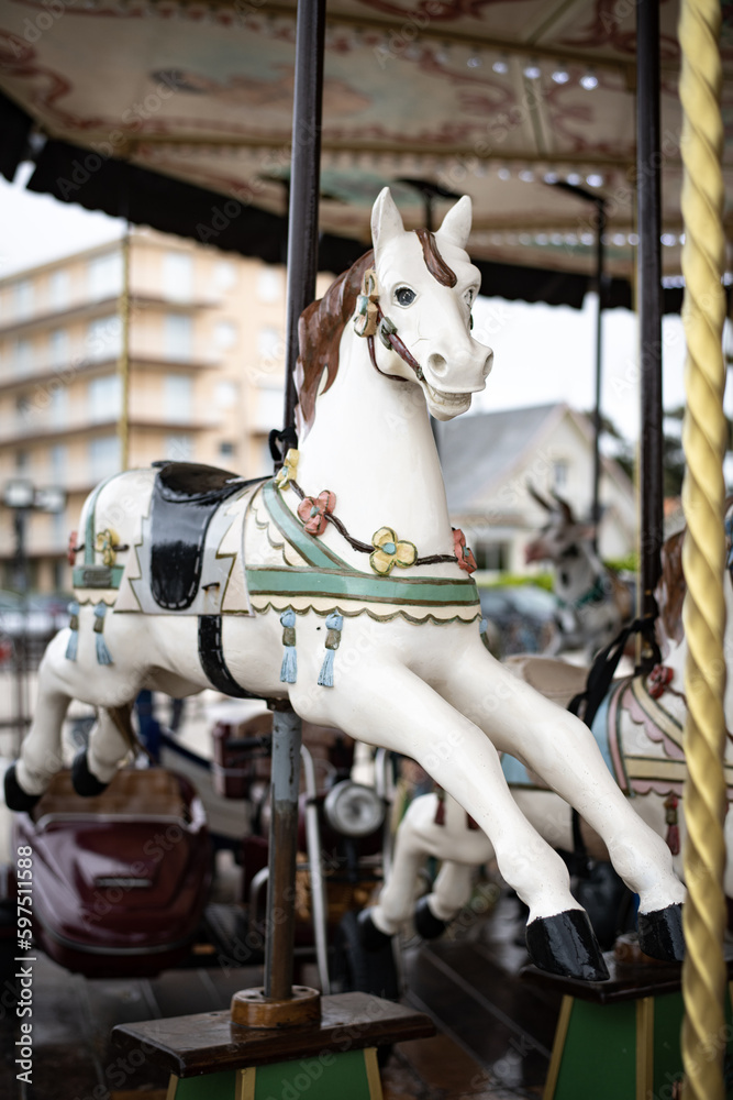 Le cheval du manège