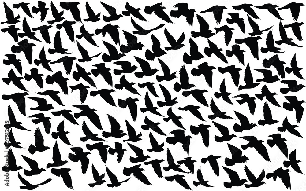 Flying birds silhouettes pattern wallpaper. Vector illustration. isolated bird flying. tattoo design. template for card, package, and wallpaper. Flying birds silhouettes pattern wallpaper. Vector illustration. isolated bird flying. tattoo design. template for card, package, and wallpaper.