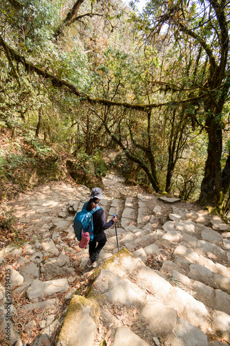 A young traveller trekking on forest trail , Nepal © tonefotografia