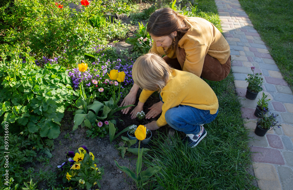 woman with a child, mother and son together plant seedlings of garden flowers in a flower bed. Hobby - floriculture and gardening. Earth Day. Help mom in the garden, environmental education woman with a child, mother and son together plant seedlings of garden flowers in a flower bed. Hobby - floriculture and gardening. Earth Day. Help mom in the garden, environmental education