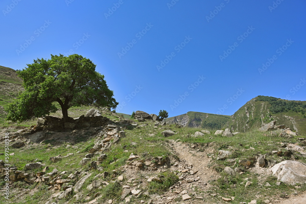 Summer day at high mountain trail