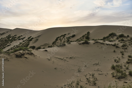 Massive sand dunes of Sarykum